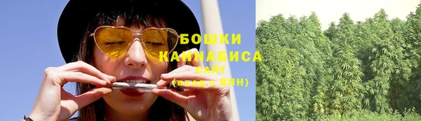 ГАЛЛЮЦИНОГЕННЫЕ ГРИБЫ Абдулино